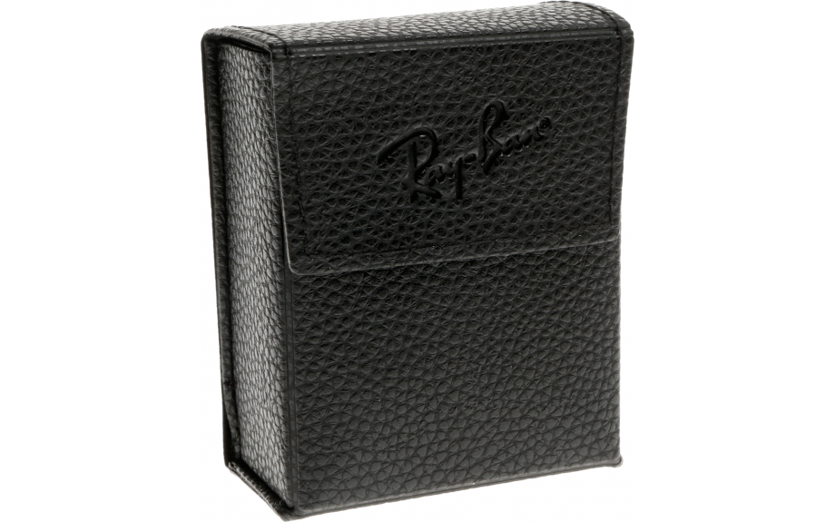 ray ban case for folding sunglasses